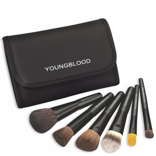 Professional Mini 6 Piece Brush Set